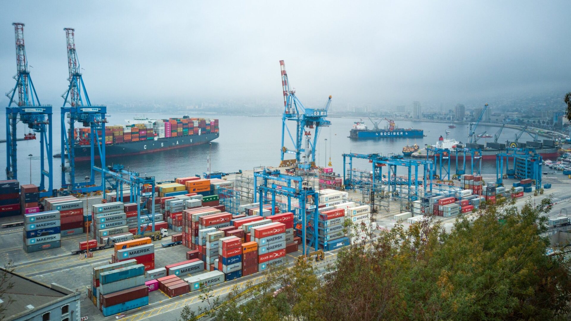 cut supply chain costs