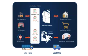 Big & Bulky Network 1