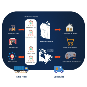 Big & Bulky Network