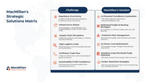 macmillans strategic solutions matrix